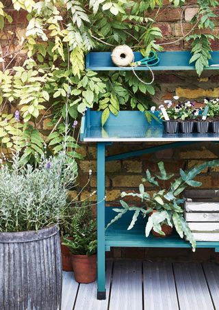 silver decking with plants and turquoise garden shelving