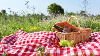 Picnic food often disappoints