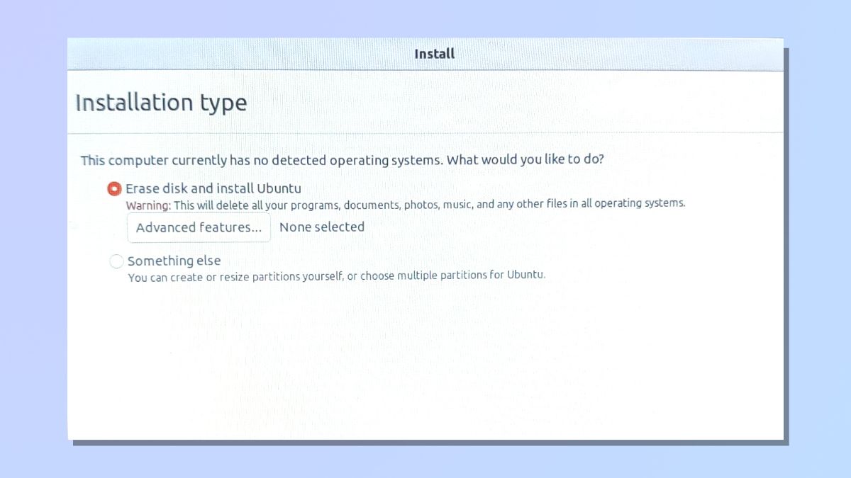 Снимок экрана, показывающий экран типа установки при установке Ubuntu Linux