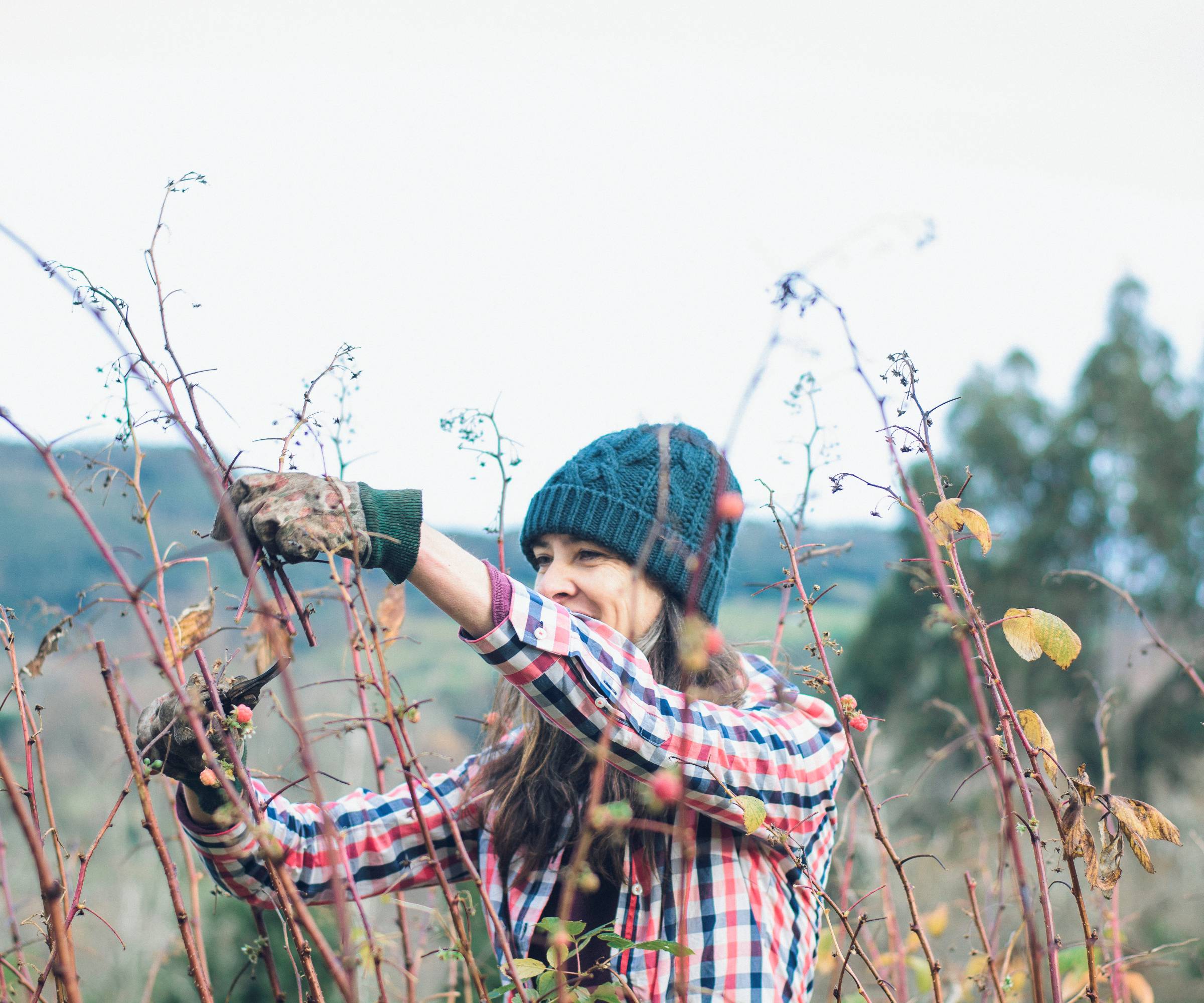 A woman in a winter hat pruning raspberries