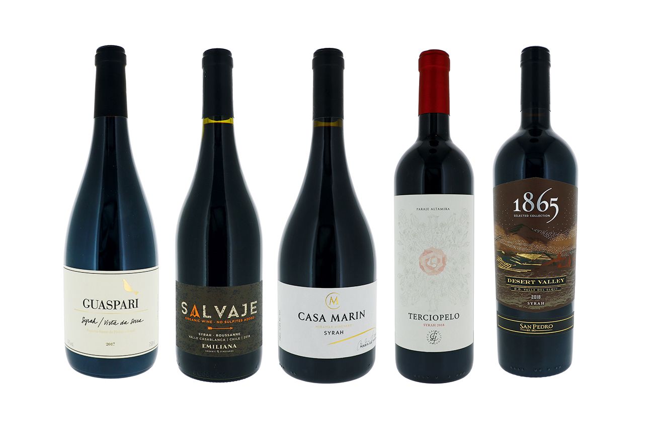 South American Syrah: Panel tastings results | Decanter