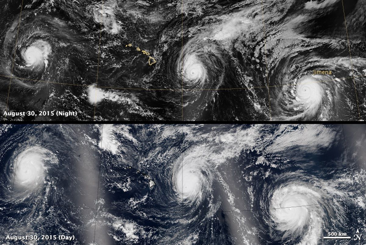 Three Category-4 storms (Kilo, Ignacio, and Jimena) are swirling in the Pacific Ocean, the first time this has happened in recorded history.