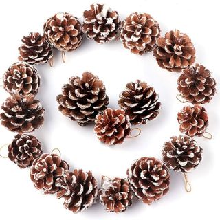 frosted pine cones