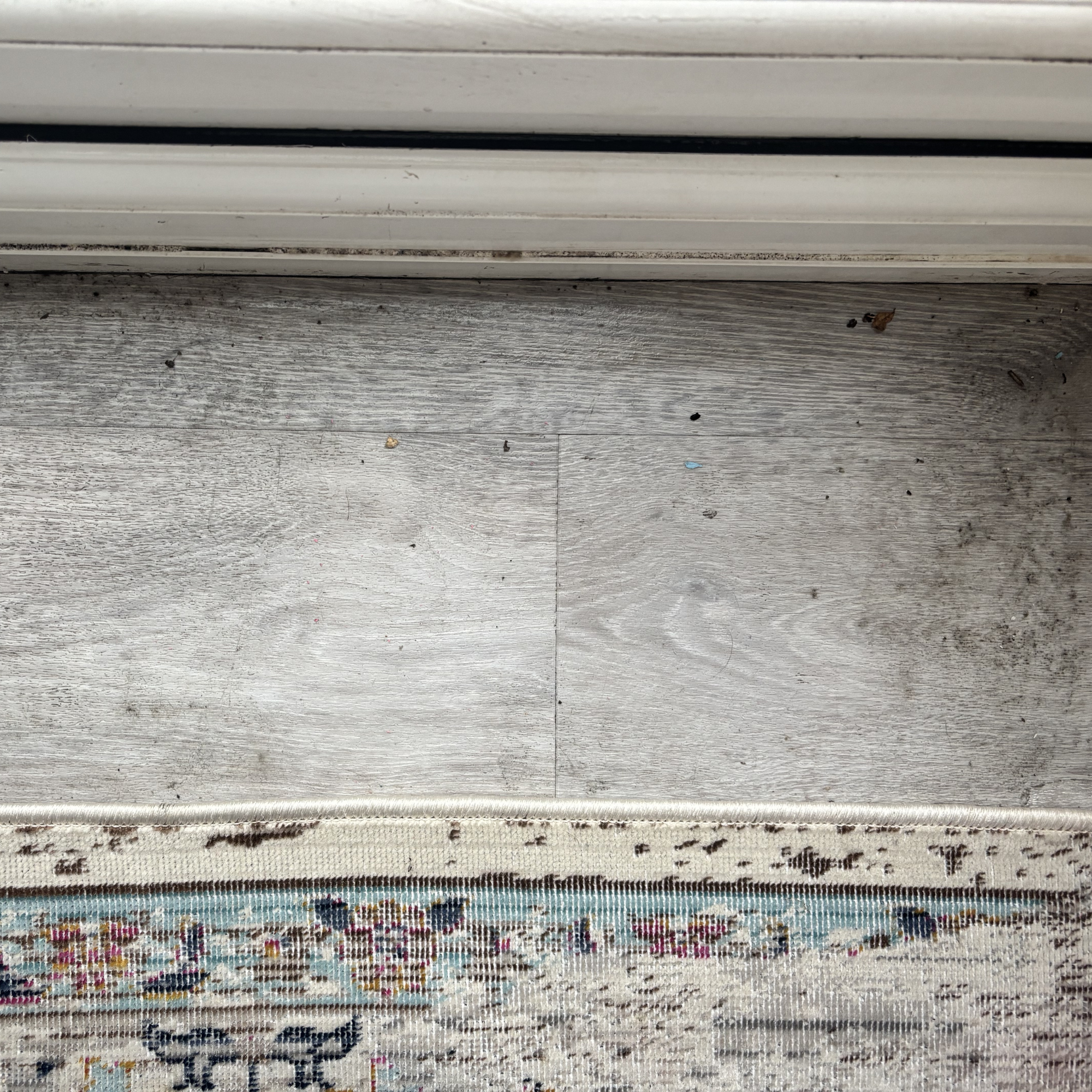 Beldray All-In-One-Multi Surface Floor Cleaner review