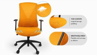 Flexi-Chair Oka Office Chair BS9
