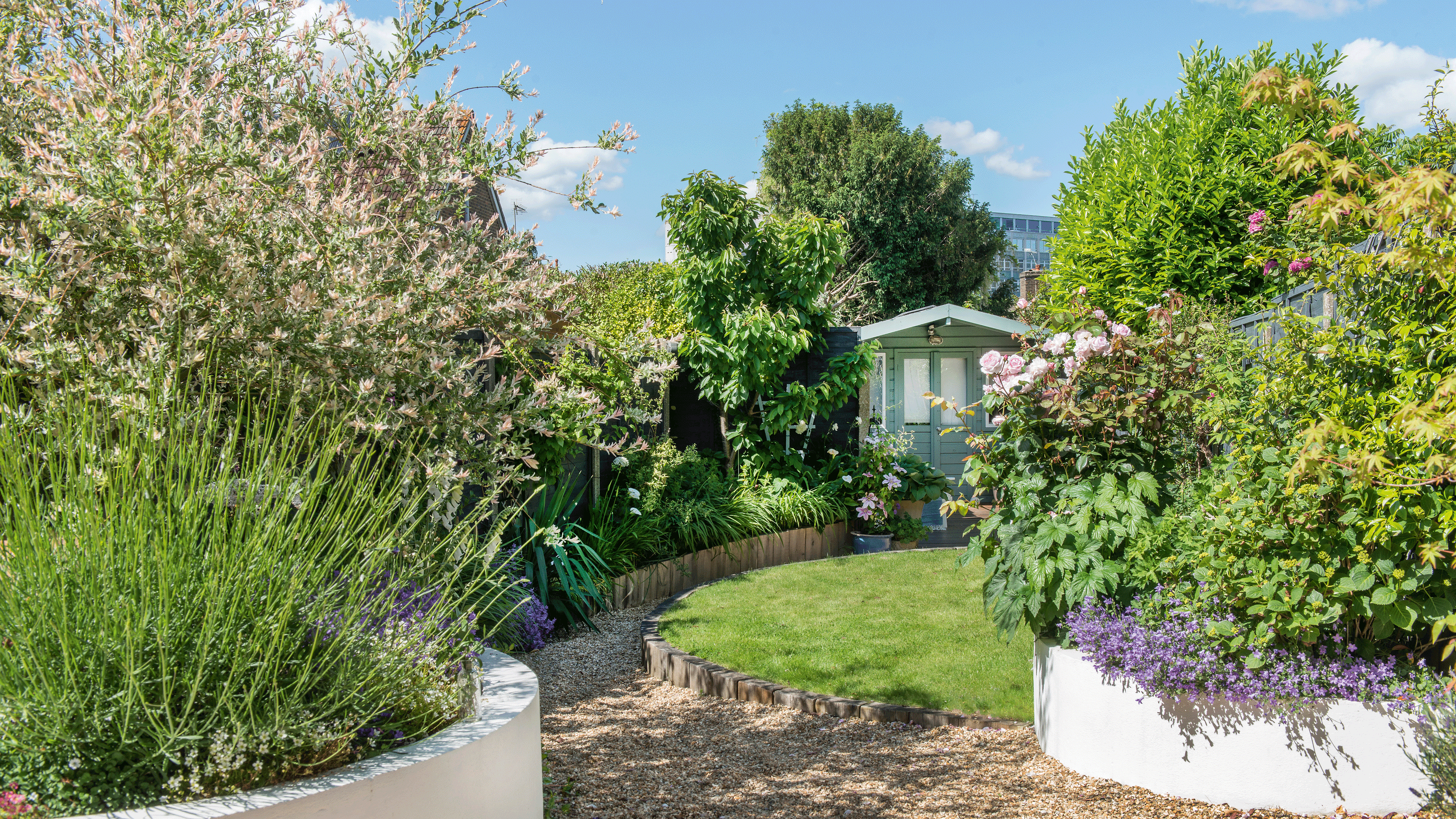 a garden with round raised beds and a curved lawn area with a painted green shed at the end