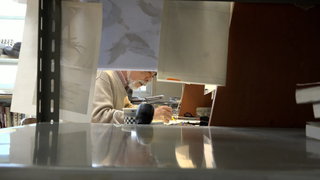 Hayao Miyazaki draws at his desk in &#039;Hayao Miyazaki and the Heron&#039;