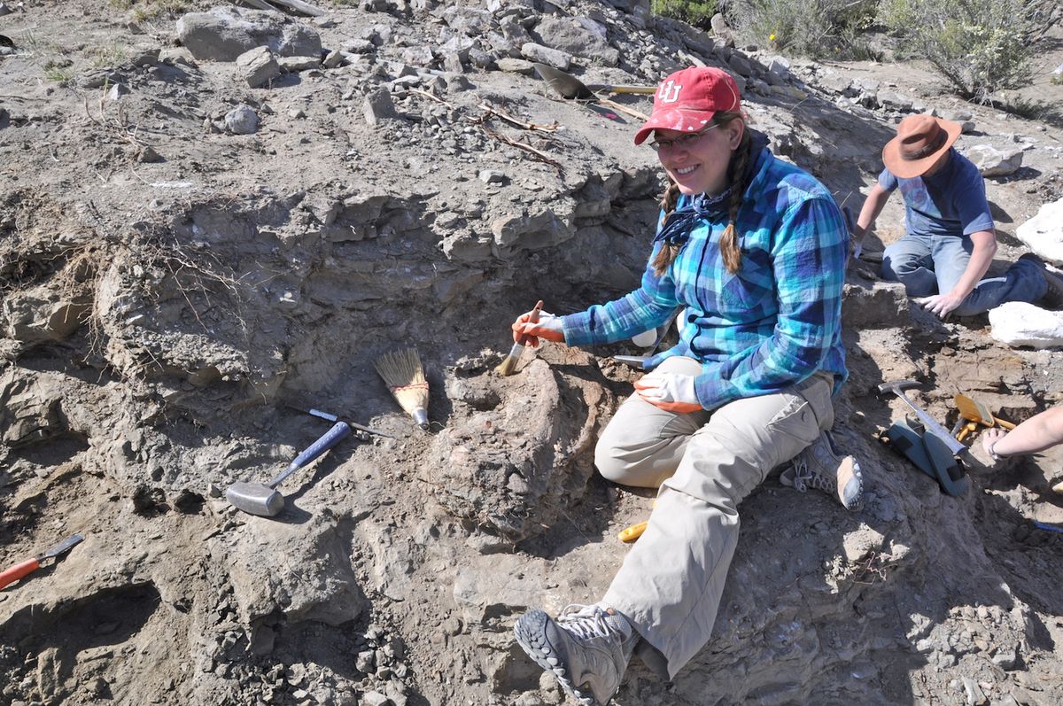 Photos: Spiky-Headed Dinosaur Found in Utah, But It Has Asian Roots ...