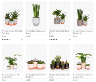 A screenshot of the John Lewis website, showing a selection of their houseplants for sale