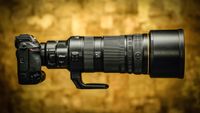 Nikon Z 120-300mm F/2.8 TC VR S lens