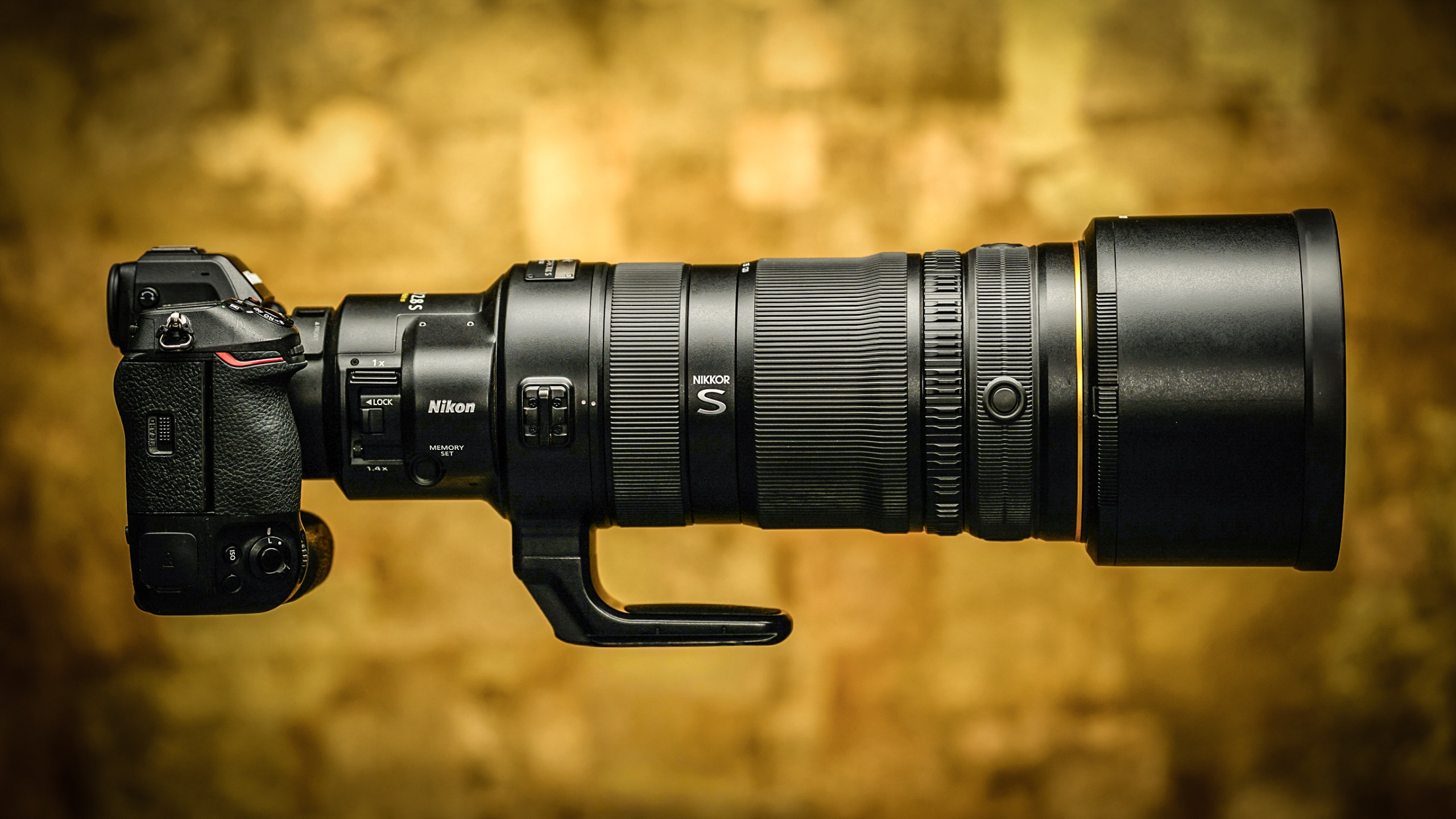 Nikon Z 120-300mm F/2.8 TC VR S lens