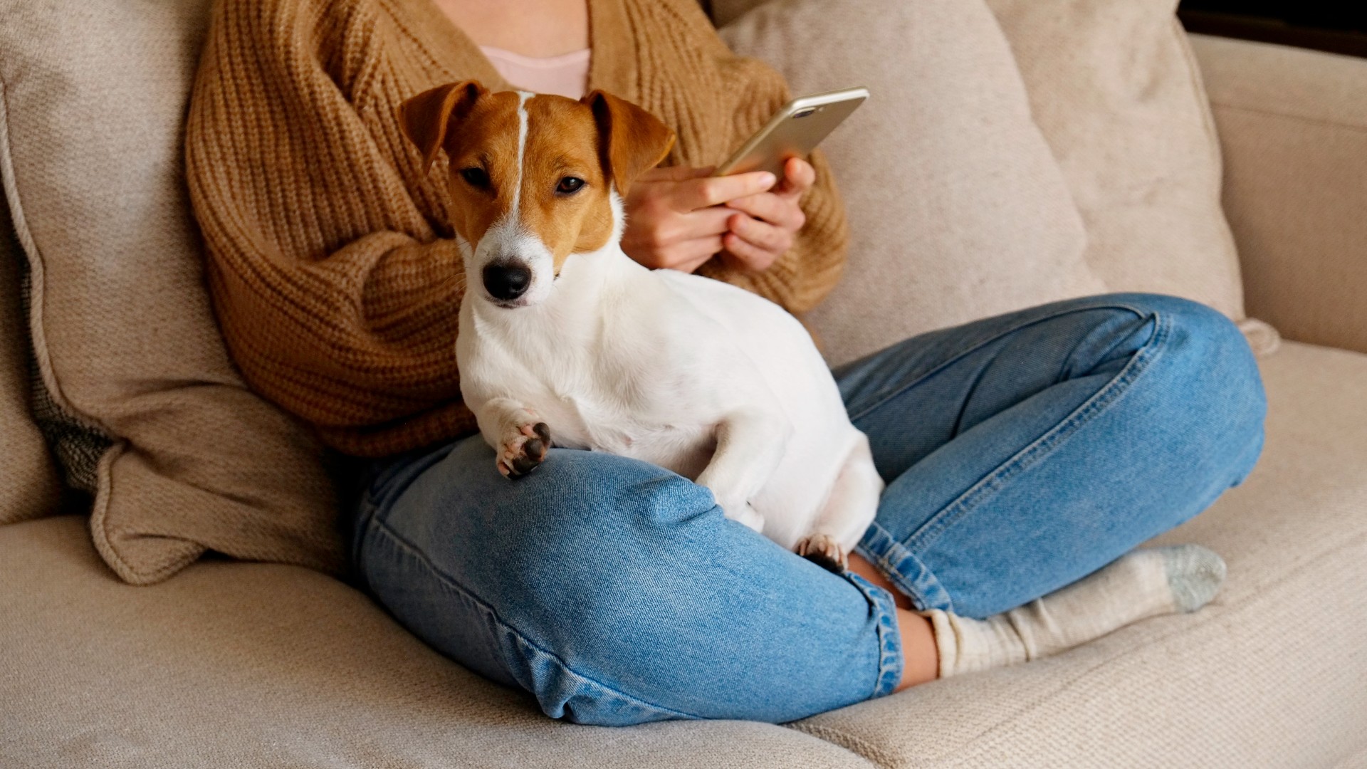 Why does my dog lay on top of me? How to get your space back PetsRadar