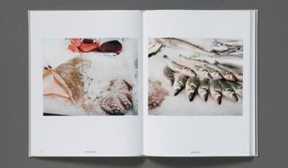 Living Trust by Buck Ellison photography book, part of the best art books