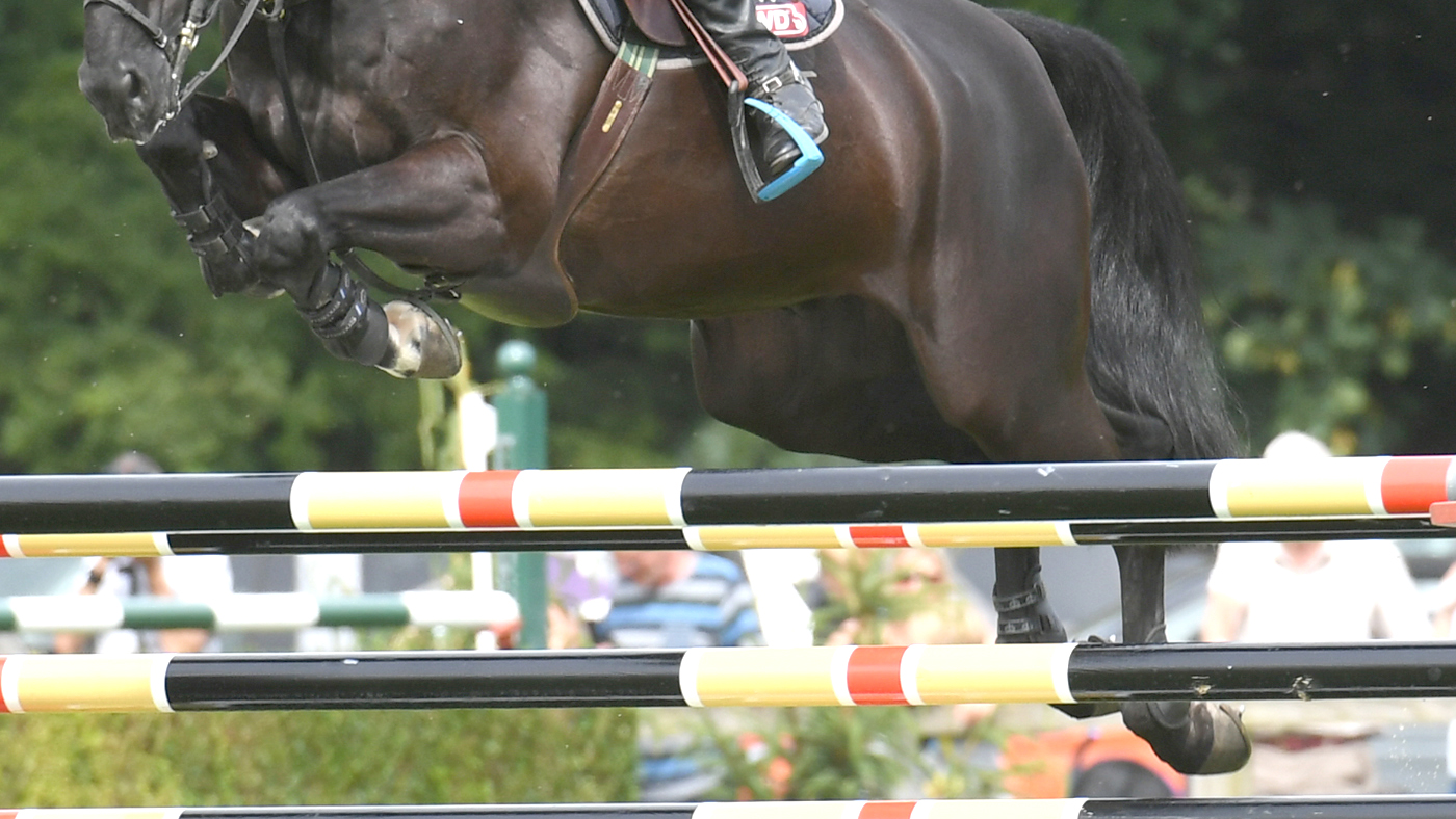 Class-172_Hickstead-Derby_PN18_39575.jpg
