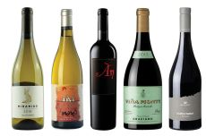 Spain off beat grapes