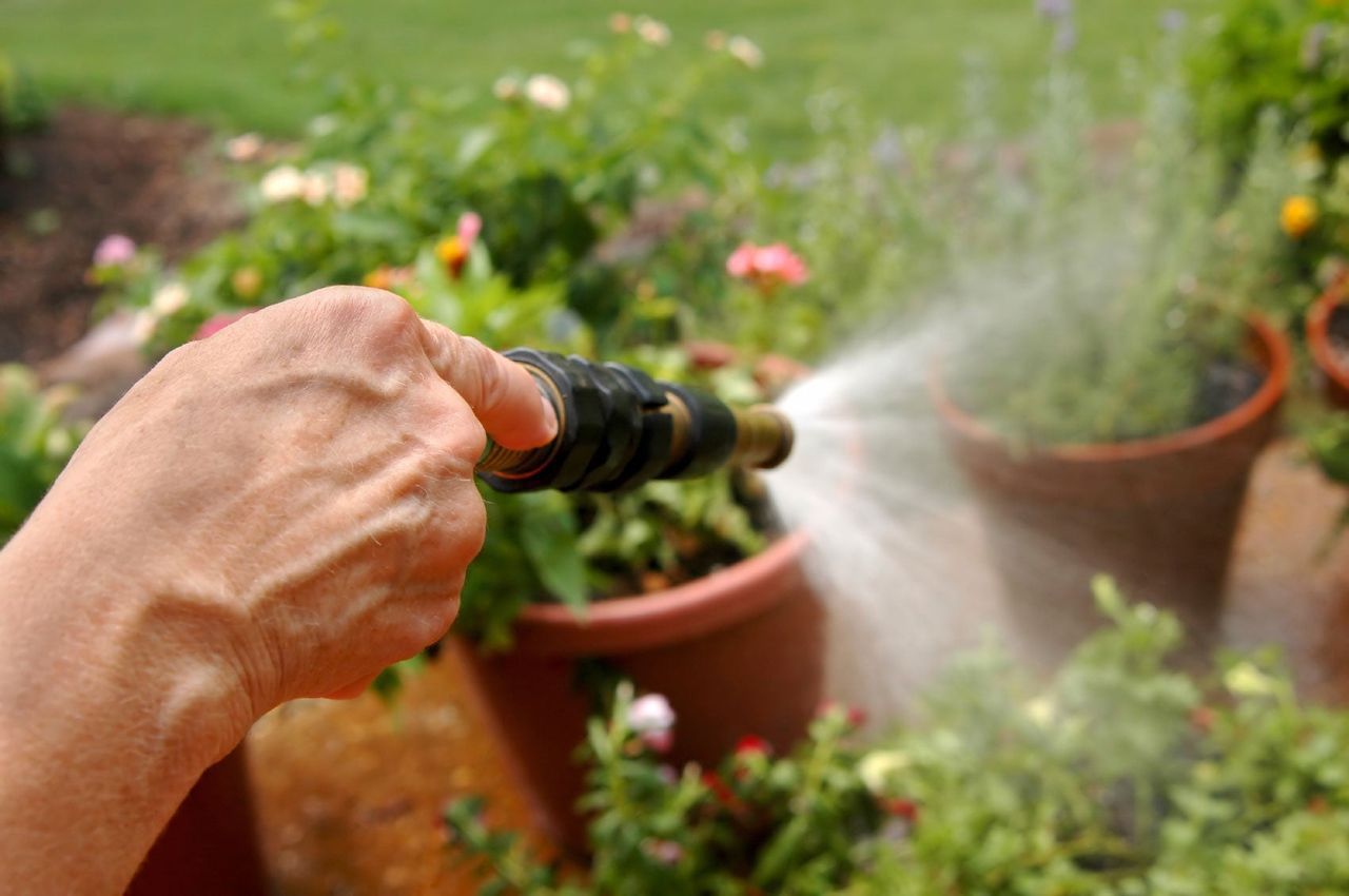 Watering Potted Plants