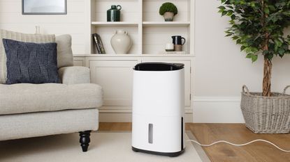 MeacoDry Arete Two dehumidifier and air purifier in a living room