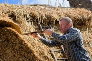 Thatching