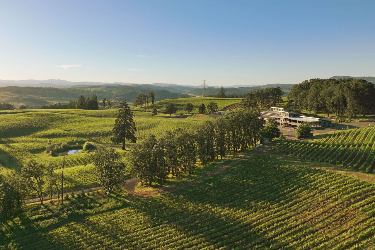 Oregon and Washington wines reach new peaks at 2026 DWWA