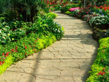 Low Growing Plants Along A Walkway