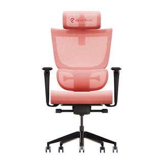 ErgoTune Supreme V3 ergonomic office chair