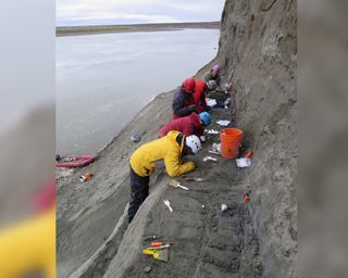 Researchers carefully collect sediment from the banks of the Colville River.