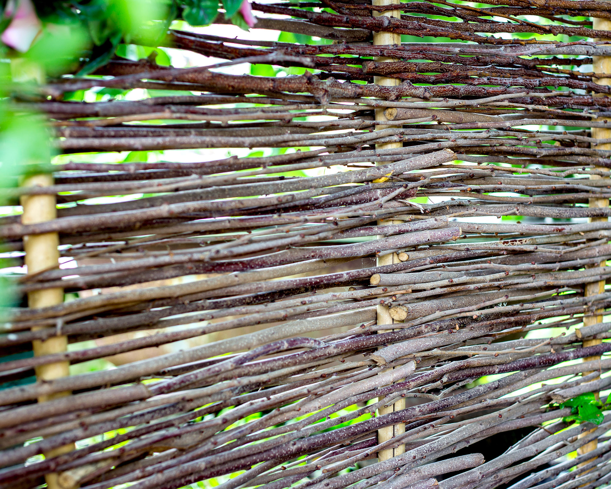 woven willow screen fence