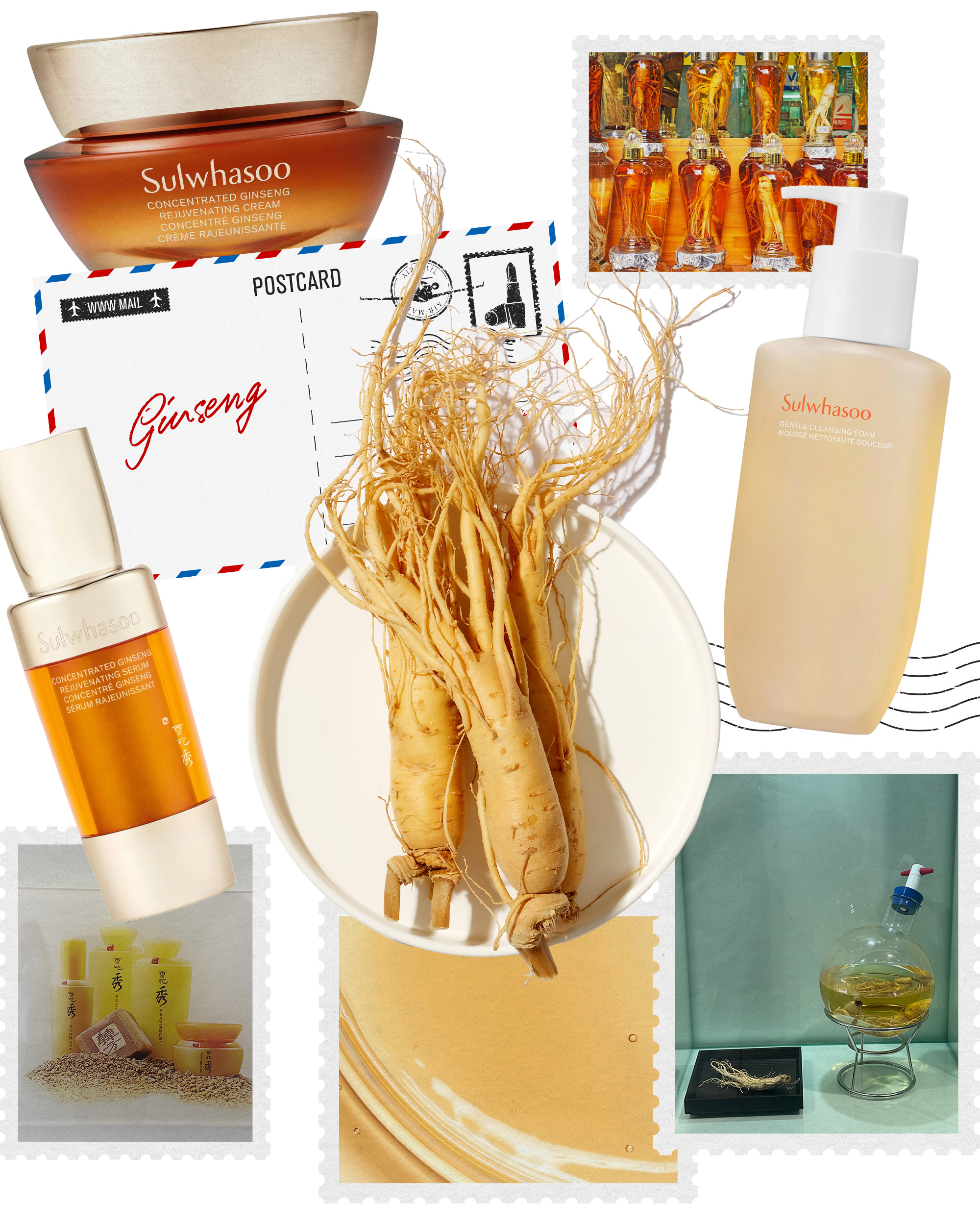 Ginseng skincare collage