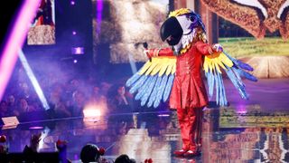 Macaw on The Masked Singer