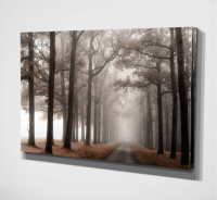 Andover Mills Misty Road Canvas: was $99, now $29.99
