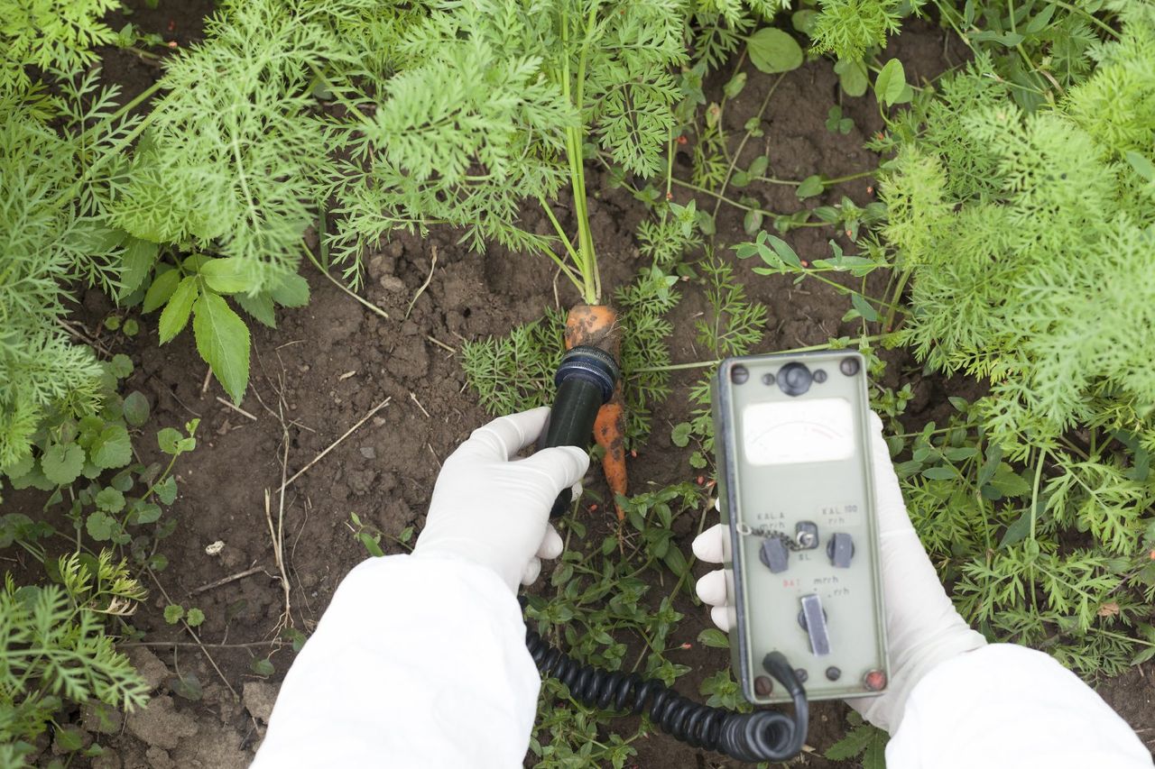 Worker Treating Contaminated Soil In Garden