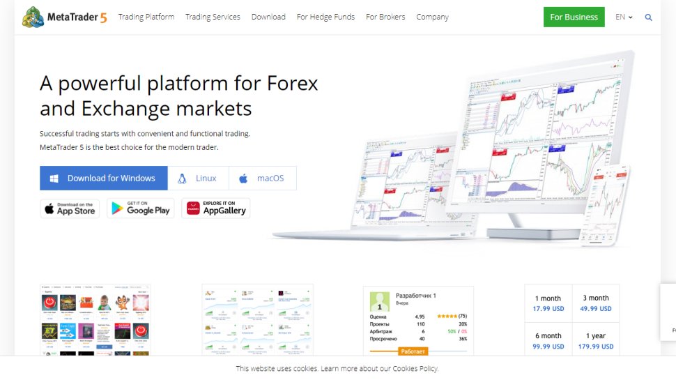 Website screenshot for MetaTrader