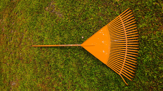 Image of an orange rake on grass