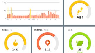 Fitbit Force dashboard