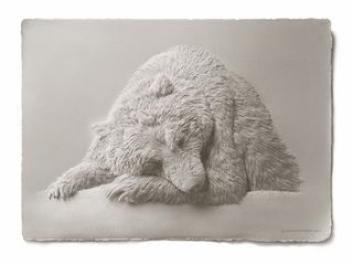 Calvin Nicholls Paper Art - grizzly finish