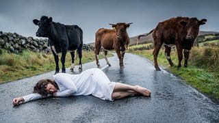 Mysterious corpse lying on an English country road surrounded by three curious cows in a scene from gothic thriller The Woman in the Wall starring Ruth Wilson.