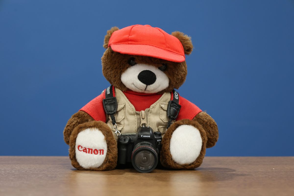 Sample image taken on the Canon EOS R8 Mark II with the Canon RF 24-105mm f/4-7.1 IS STM