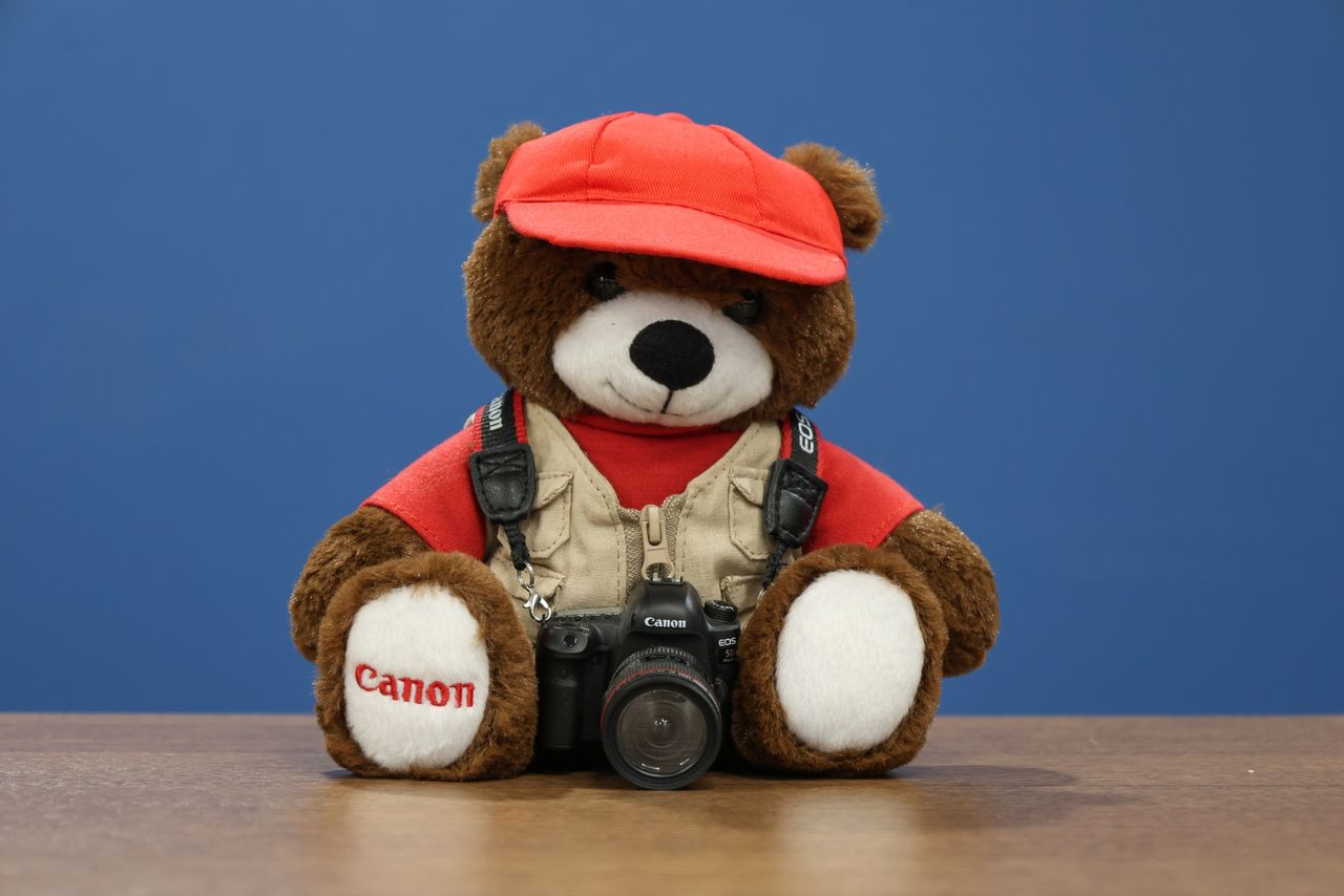 Sample image taken on the Canon EOS R8 Mark II with the Canon RF 24-105mm f/4-7.1 IS STM