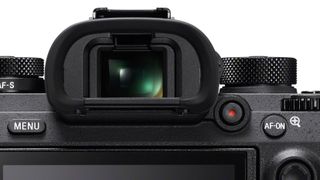 Sony A9 viewfinder