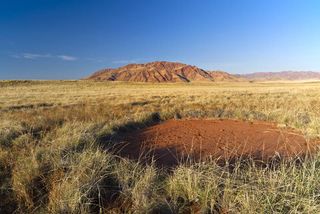 Fairy circles in the Namib Desert in Africa.