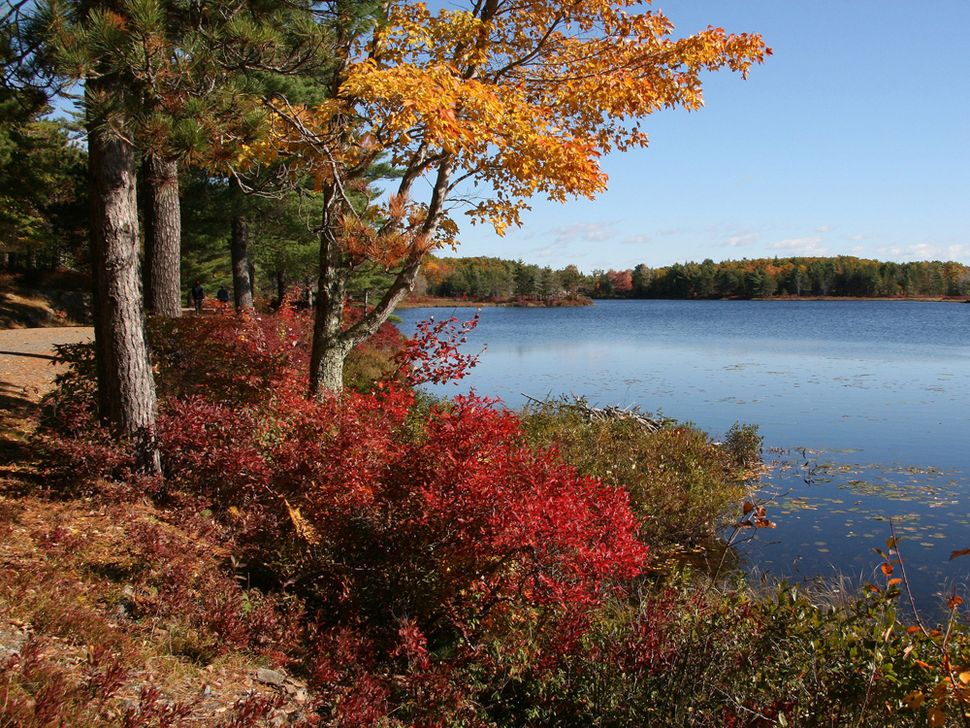 Photos: Take a Tour of Maine's Spectacular Acadia National Park | Live ...