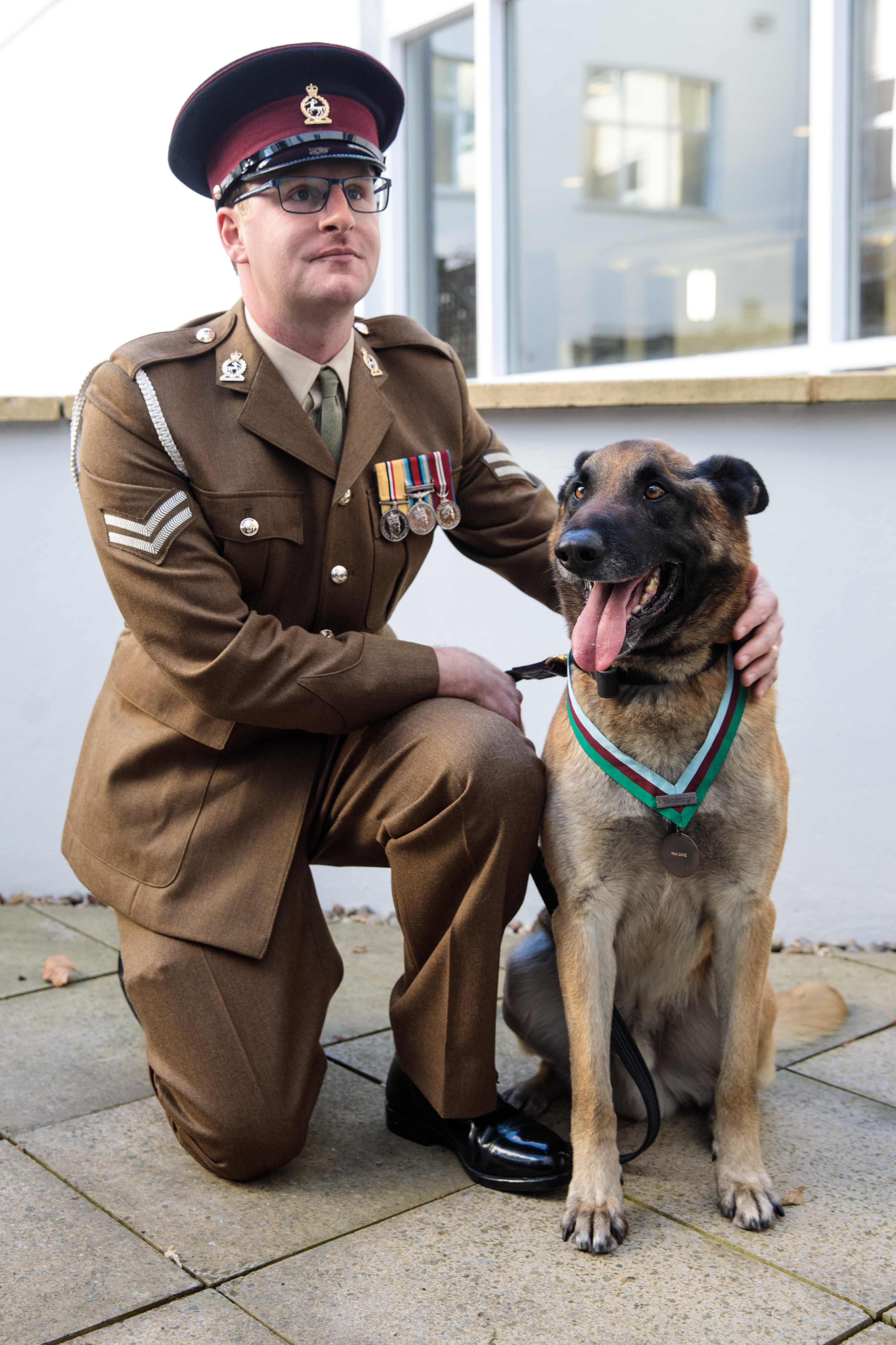 Mali, a Belgian Malinois British military working Dog, wearing the Dickin Medal with his handler Corporal Daniel Hatley in 2017. Mali received the medal after his role in military operations in Afghanistan in 2012.