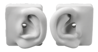Yes, average adult human ears look like this.