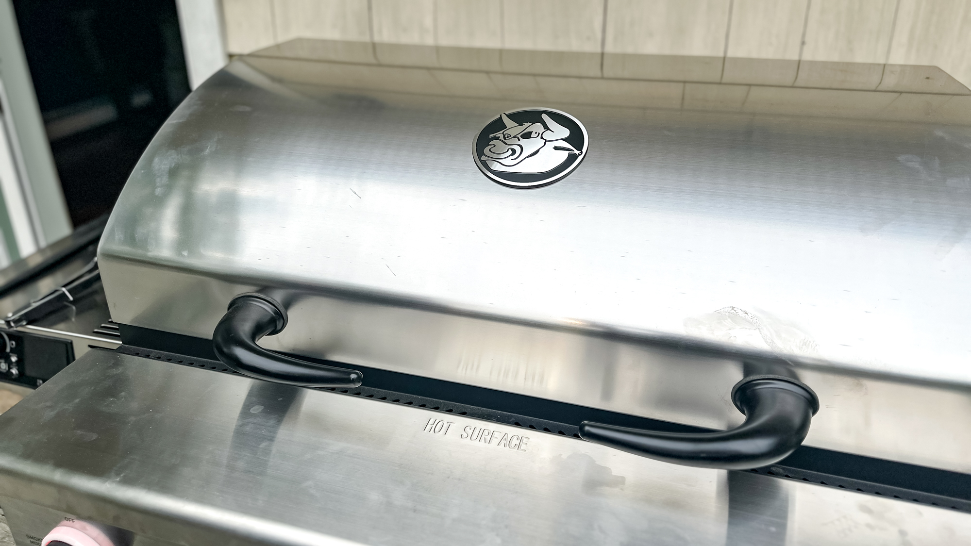 Rectec X-Fire Pro 825 grill and food