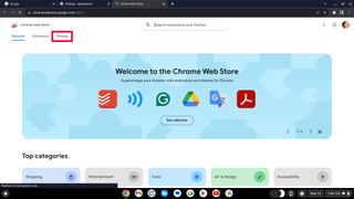 Google Chrome themes