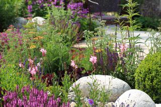 small rock garden ideas: colourful flowers in rockery