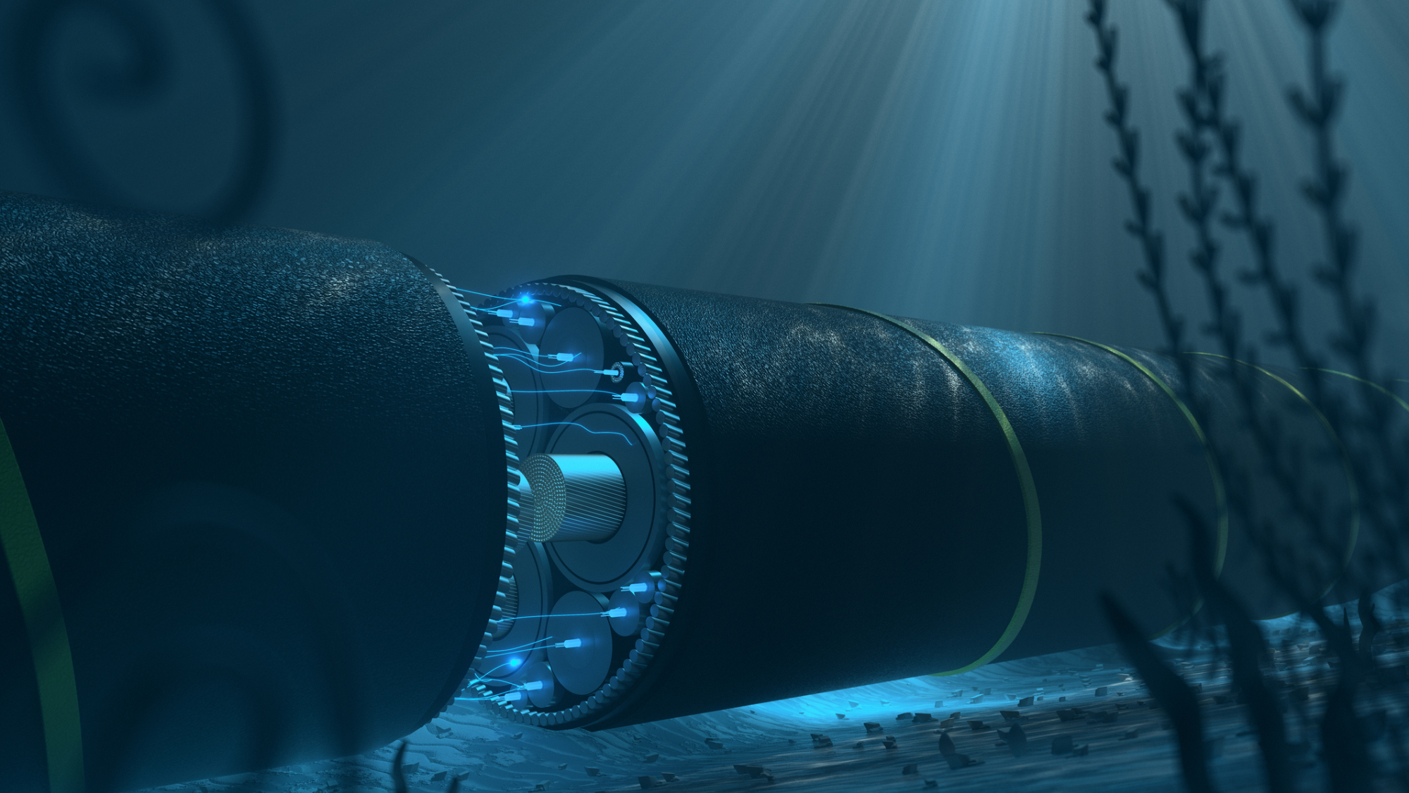 A close up view of a model of an undersea fiber optic cable for data communications.