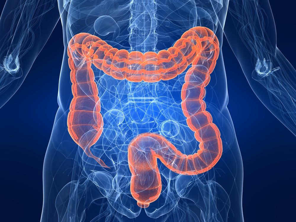 A drawing shows the location of the gastrointestinal tract within a person. 