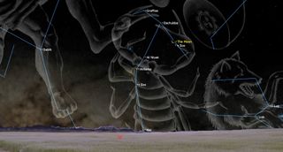 an illustration of the night sky showing the moon near a group of stars roughly shaped like a scorpion