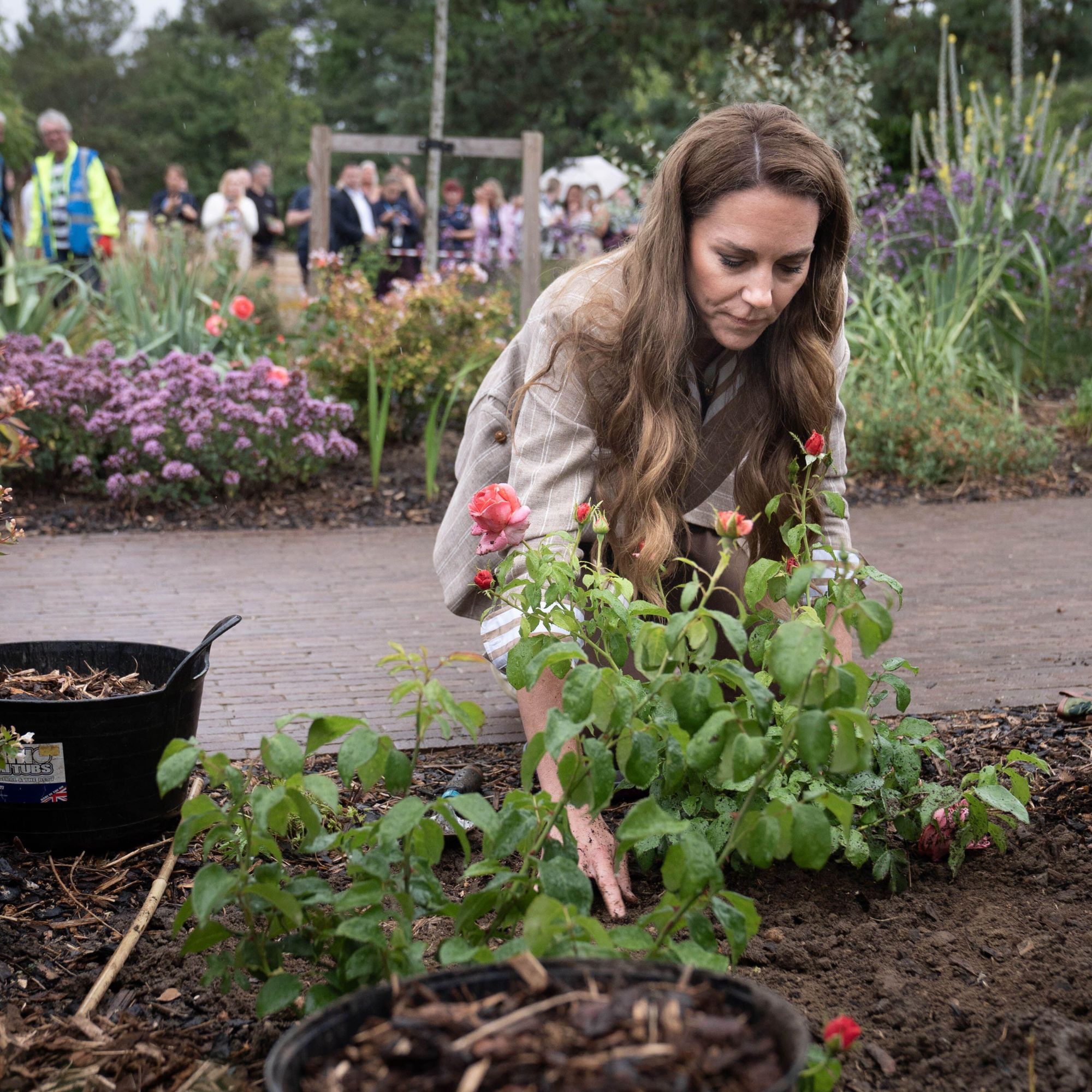 Princess of Wales with Catherine&#039;s Rose